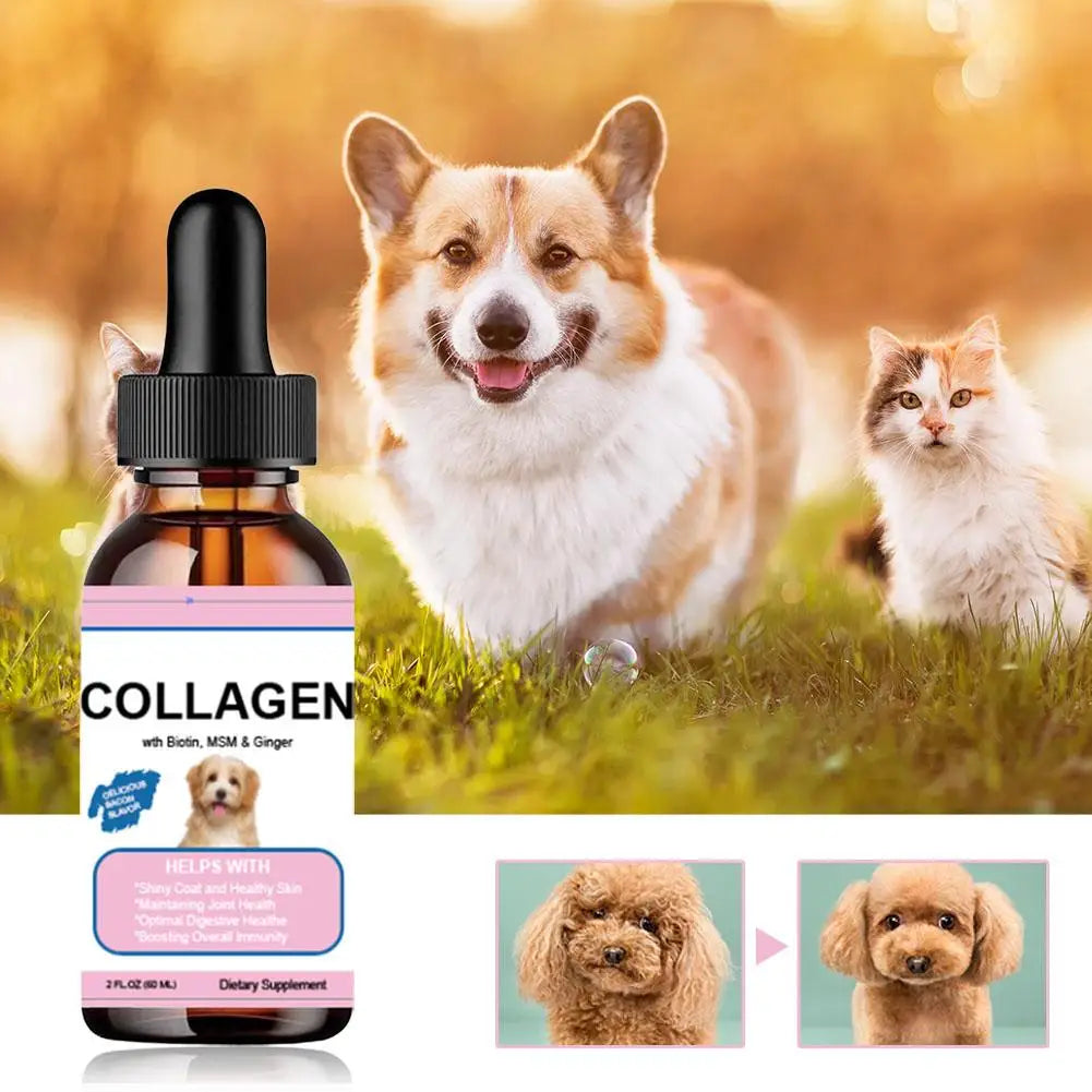 Pet Collagen Drops for Dogs and Cats Healthy Nutritional Supplement Protect Coat Enhance Body Condition Pet Nutritional Solution