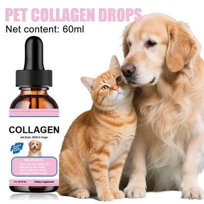 Pet Collagen Drops for Dogs and Cats Healthy Nutritional Supplement Protect Coat Enhance Body Condition Pet Nutritional Solution