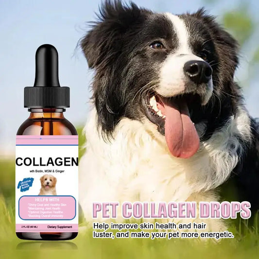 Pet Collagen Drops for Dogs and Cats Healthy Nutritional Supplement Protect Coat Enhance Body Condition Pet Nutritional Solution